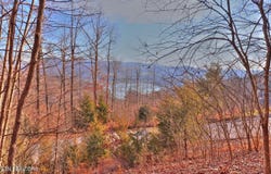 Lot 440 Feldspar Rd, New Tazewell, TN 37825