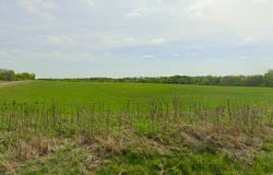 Taylor Road, Howe, TX 75459