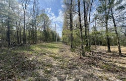 155 Lake Terrace Road, Kissee Mills, MO 65680