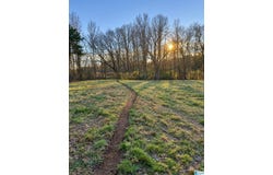 545 COUNTY ROAD 437, GRAHAM, AL 36263