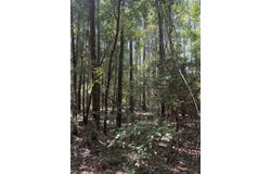 Sipsey Way, Tallahassee, FL 32305