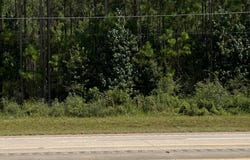 33545 HWY 96, Buna, TX 77612