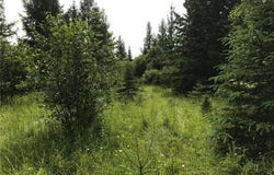 Sec: 2 Twp: 61.0 Rg: 19 Lot: BLK: AC, Alango Twp, MN 55703
