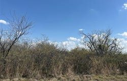 03 County Road 3855, Poolville, TX 76487