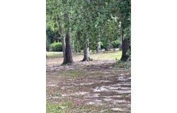 813 Bentwood Circle, Manning, SC 29102