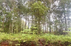 179 Tyson Lane, Greenville, AL 36037