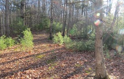 10 CEDARWOOD DRIVE ROAD, MATHIAS, WV 26812