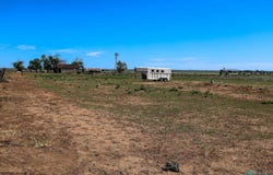 2165 State Hwy 252, House, NM 88121