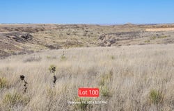 1651 BLAKELY HOLLOW, Amarillo, TX 79124-2055