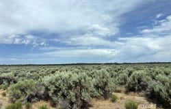 Millican Road, Christmas Valley, OR 97641