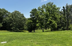 1879 Sawmill Road, Elkland, MO 65644