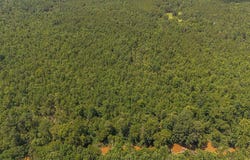 Tbd Burton Drive, Edgefield, SC 29824