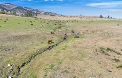 Willow Highlands, Florence, MT 59833