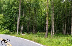 0 State Route 125, Henderson, TN 38340