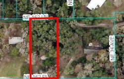 3597 NE 162ND PLACE, CITRA, FL 32113