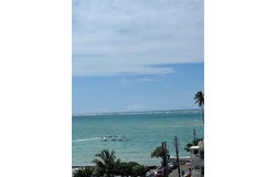 16 AMAPOLA, CAROLINA, 00979