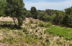 Lot 27 Sunrise Trail, Corsicana, TX 75110