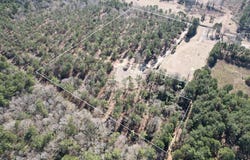 Tbd-c County Road 3198, Mount Enterprise, TX 75681