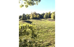 McCain Road, Spring Arbor, MI 49283