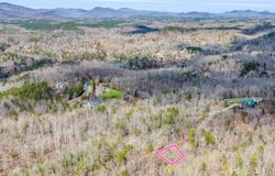 Forester Lane unit: 25, Mill Spring, NC 28756