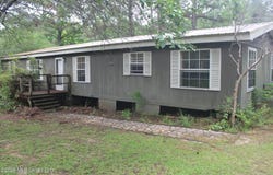 429 River Road Drive, Bogue Chitto, MS 39629
