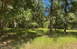 390 PR 5200, Ratcliff, TX 75858