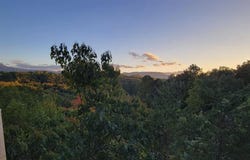 1785 Red Bone Way, Sevierville, TN 37876