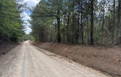 Lot 2 Lipham, Franklin, GA 30217