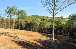 W Hills Drive lot: #2, Mosheim, TN 37818
