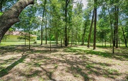 632 S Arlene Avenue, Inverness, FL 34453