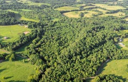 0 Co Rd 88, Anderson, AL 35610