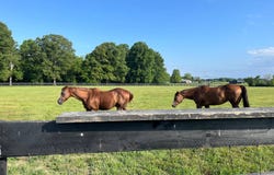 9181  W KY 70, Liberty, KY 42539