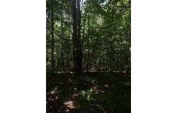 100 St Andrews Ct, Social Circle, GA 30025