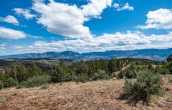 Belshaw Creek Road, Mount Vernon, OR 97865