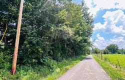 81 Shearer Cemetery Ln, Columbia, KY 42728