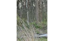 27998 210th RD, Marshall, MO 65340