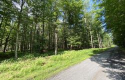 4 Basswood Drive, South Sterling, PA 18445