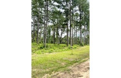 007 Carpenter St., Jena, LA 71342