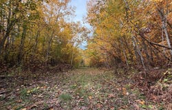 Estates Range Road, Kerrick, MN 55756