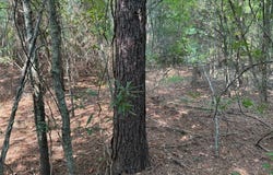 0 Best Road, Simsboro, LA 71275