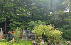 25 North Street, Cortlandville, NY 13101