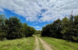 3871 Webb Cemetery Rd (+/- 53.738 ac), Calvert, TX 77837-8106