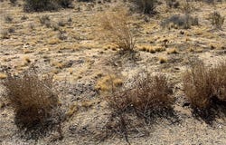 0 hwy 62, Unknown, CA 96005