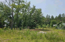 1307 Main Street, West Columbia, SC 29170