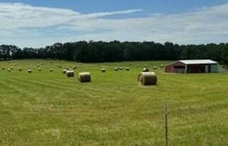 4230 Highway 17, Summersville, MO 65571