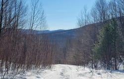 4166 Mines Rd, Lowell, VT 05847