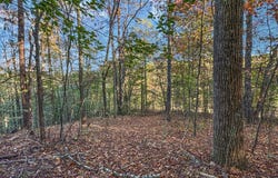 Lot 10 Dry Meadow Dr., Adams, KY 41201