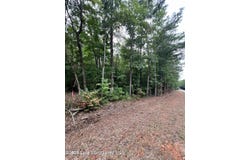 3160 Holley Mill Rd, Eclectic, AL 36024