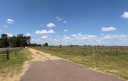 State Highway 203, Wellington, TX 79095