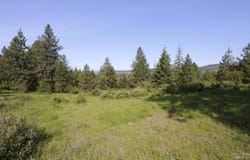 Tbd Smokey Bear Ln, Kendrick, ID 83537